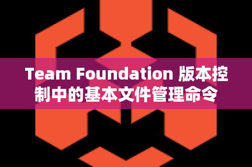 Team Foundation 版本控制中的基本文件管理命令