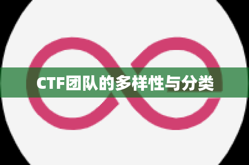 CTF团队的多样性与分类