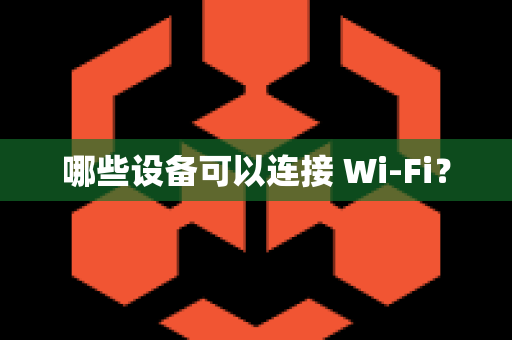 哪些设备可以连接 Wi-Fi？