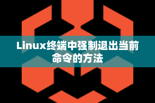 Linux终端中强制退出当前命令的方法