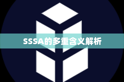 SSSA的多重含义解析