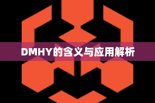 DMHY的含义与应用解析