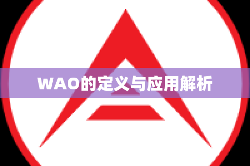 WAO的定义与应用解析