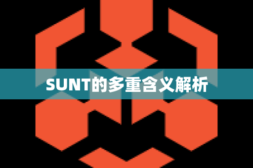 SUNT的多重含义解析