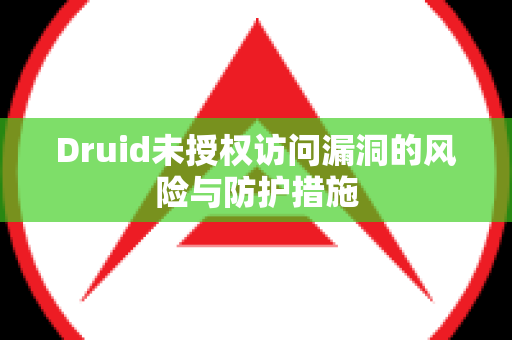 Druid未授权访问漏洞的风险与防护措施