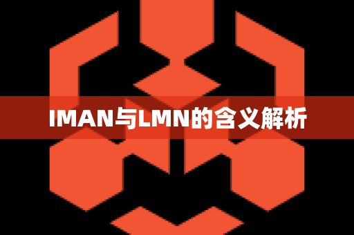 IMAN与LMN的含义解析