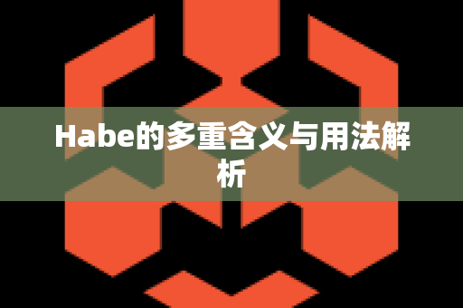 Habe的多重含义与用法解析