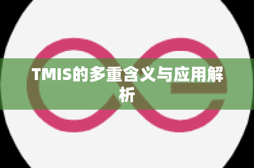 TMIS的多重含义与应用解析