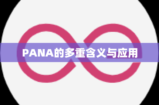 PANA的多重含义与应用