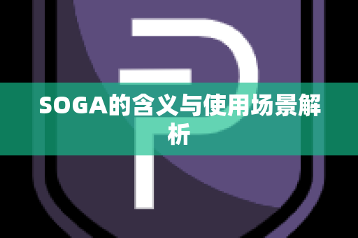 SOGA的含义与使用场景解析