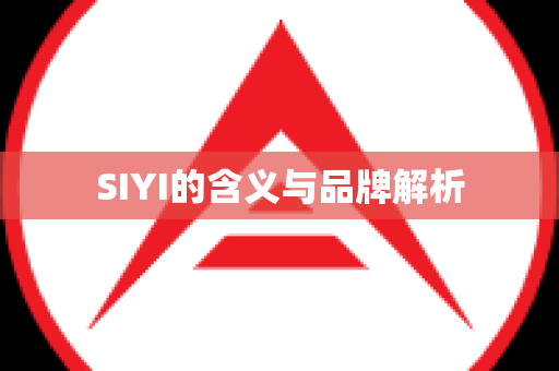 SIYI的含义与品牌解析