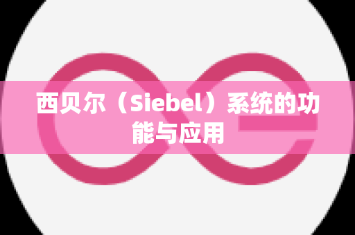 西贝尔（Siebel）系统的功能与应用