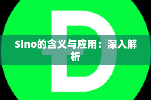 Sino的含义与应用：深入解析