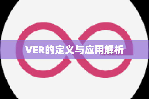 VER的定义与应用解析