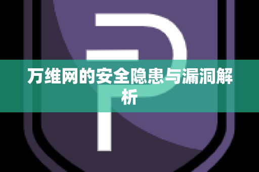 万维网的安全隐患与漏洞解析