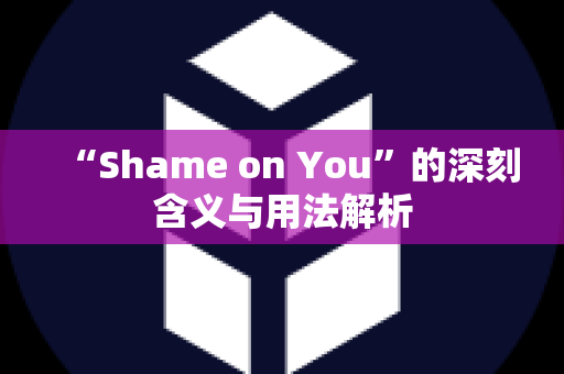 “Shame on You”的深刻含义与用法解析