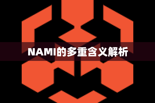 NAMI的多重含义解析