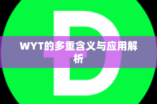 WYT的多重含义与应用解析