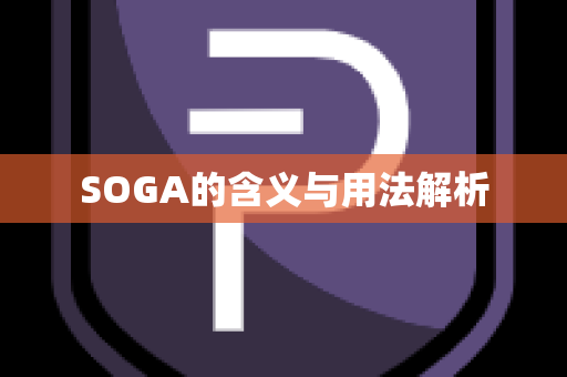 SOGA的含义与用法解析