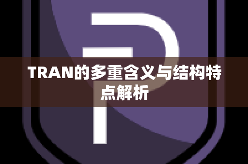 TRAN的多重含义与结构特点解析