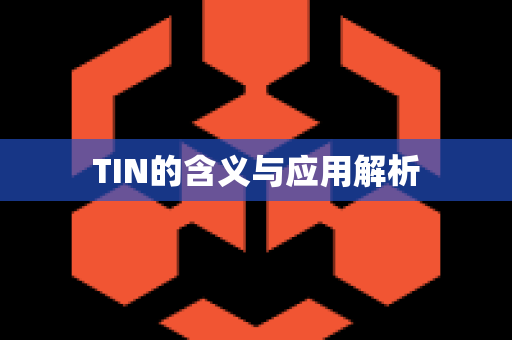 TIN的含义与应用解析