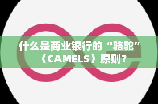 什么是商业银行的“骆驼”（CAMELS）原则？