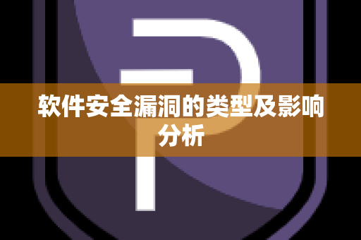 软件安全漏洞的类型及影响分析