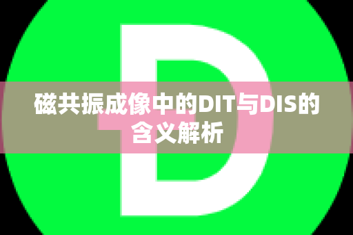 磁共振成像中的DIT与DIS的含义解析