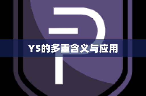 YS的多重含义与应用