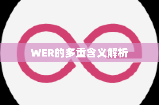 WER的多重含义解析