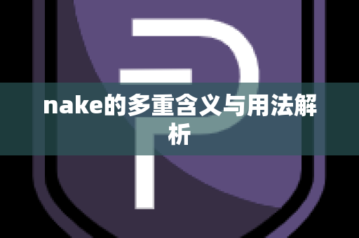 nake的多重含义与用法解析