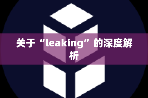 关于“leaking”的深度解析