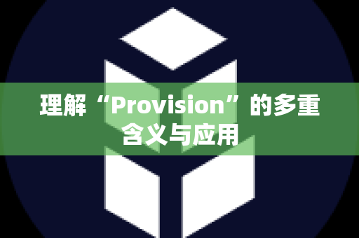 理解“Provision”的多重含义与应用