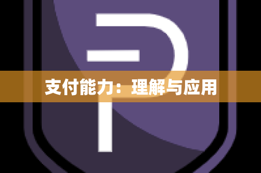 支付能力：理解与应用