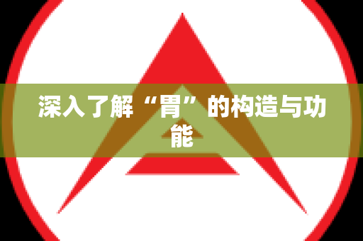 深入了解“胃”的构造与功能