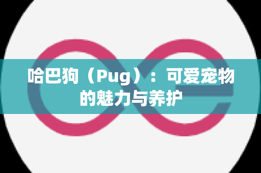 哈巴狗（Pug）：可爱宠物的魅力与养护