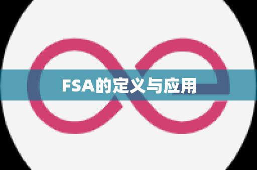 FSA的定义与应用