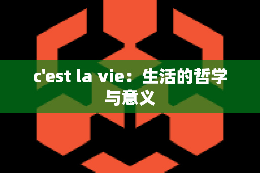 c'est la vie：生活的哲学与意义