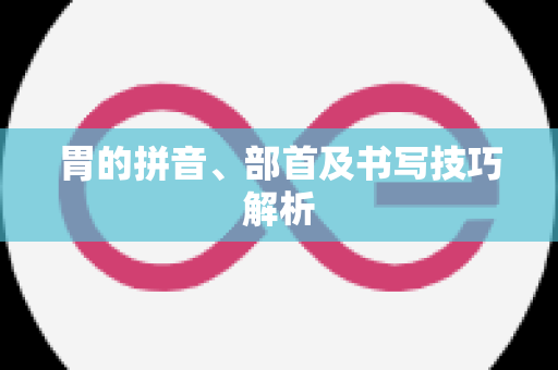 胃的拼音、部首及书写技巧解析