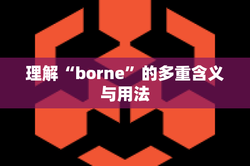 理解“borne”的多重含义与用法