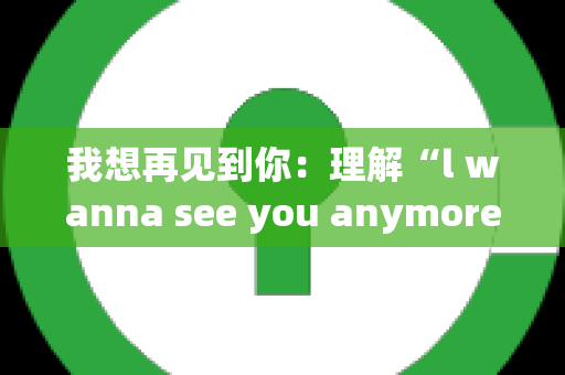 我想再见到你：理解“l wanna see you anymore”的深层含义