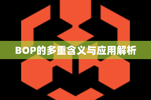 BOP的多重含义与应用解析