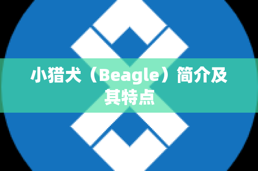 小猎犬（Beagle）简介及其特点