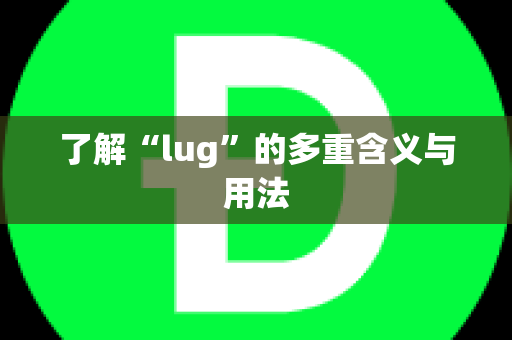 了解“lug”的多重含义与用法