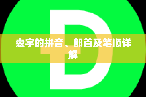 囊字的拼音、部首及笔顺详解