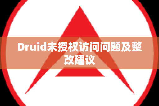 Druid未授权访问问题及整改建议