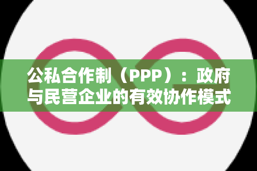 公私合作制（PPP）：政府与民营企业的有效协作模式