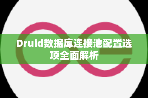 Druid数据库连接池配置选项全面解析