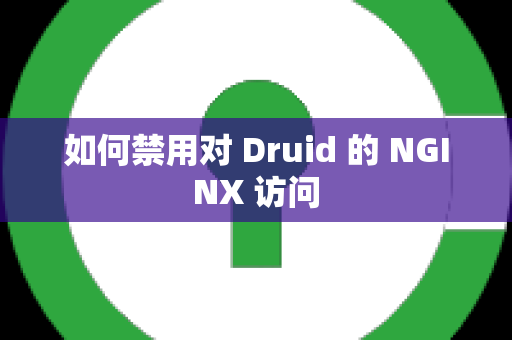 如何禁用对 Druid 的 NGINX 访问