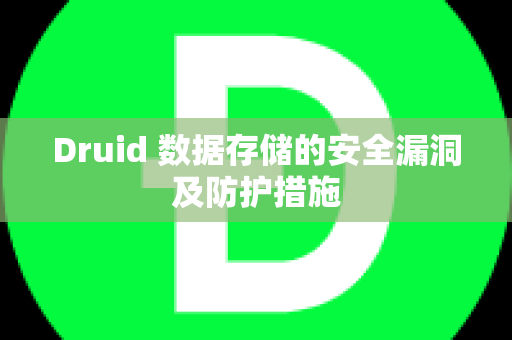 Druid 数据存储的安全漏洞及防护措施